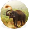 MuchoWow® Rundes Wandbild - Runde Bilder Elefant - Tiere - Produktbild-Vorschau 1