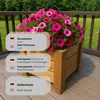 HolzGarden Drevený Kvetináč Obdĺžnikový Z Masívu Náhľad obrázku produktu 4