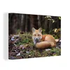 MuchoWow® - Leinwandbilder - Fuchs - Wald - Tier, Wandbild, Produktbild-Vorschau 1