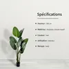 IvoQ Strelitzia Plante Artificielle 160 cm - Grande Fleur Voir les images du produit 8