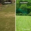 Rasenmatte – schneller Weg zu schönem Rasen – 1 m Produktbild-Vorschau 3