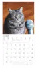 A cat is shown next to a microphone, with a calendar below it. Produktbild-Vorschau