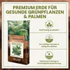 Green Home Grünpflanzen- & Palmenerde 72L – Pflanzenerde Produktbild-Vorschau 2