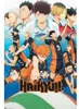 HAIKYU!! - Poster Maxi 91cmx51cm - Key art season 1 Produktbild-Vorschau 3