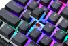 PREYON Brown Blitz Claw Gaming - Tastatur Mechanisch TKL Produktbild-Vorschau 4