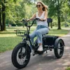 E Bike Dreirad Fat Klapprad E-Bike Lastenfahrrad Produktbild-Vorschau 3