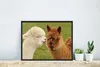 MuchoWow® MuchoWow® Gerahmtes Poster Alpaka - Gras - Tiere Produktbild-Vorschau 5