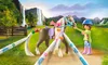PLAYMOBIL Horses of Waterfall 71640 Kreativset mit Pferd Produktbild-Vorschau 8