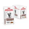 Royal Canin Cat Vet Diet Kapsička Gastro Intestinal Náhľad obrázku produktu 1