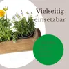 Novaliv 10x Holzkiste Vintage 30 x 15 x 10 cm Alte Produktbild-Vorschau 4
