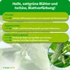 Purgrün -Gewächshausgurken-Dünger 1 Liter, Produktbild-Vorschau 3