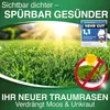 DÜNGEMEISTER Rasendünger für Ihren sattgrünsten Traumrasen Produktbild-Vorschau 4