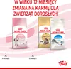 Royal Canin Feline Kitten - 10 kg Podgląd zdjęcia produktu 9