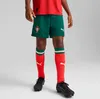 Puma Fpf Portugal Replica Heim Junior-shorts Grün 15-16 Produktbild-Vorschau 3