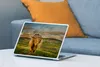 MuchoWow® Laptop Aufkleber Sticker Cover Schottischer Produktbild-Vorschau 4