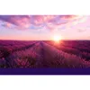 ipuro ESSENTIALS lavender touch - Quadratisch - Lavendel - Produktbild-Vorschau 5
