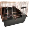 Flamingo Sittichkäfig Wammer 1 kupfer Produktbild-Vorschau 6