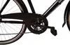 Dallas Bike Herrenfahrrad - Trekkingrad 28 Zoll - Produktbild-Vorschau 6