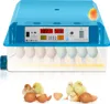 Aopunly Brutmaschine Vollautomatisch, Inkubator 64 Produktbild-Vorschau 1