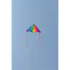 Dětský drak HQ Delta Rainbow 140 cm 106122 Rainbow 140 x 75 Náhled obrázku produktu 4