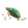 PLAYMOBIL Wiltopia 71058 Tartaruga gigante Anteprima dell’immagine prodotto 2