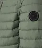 Casa Moda Steppjacke für Herren Produktbild-Vorschau 2