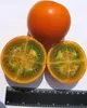 Naranjilla (Solanum quitoense)  – 10 kusov Náhľad obrázku produktu 2
