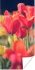 MuchoWow® Poster Tulpen - Blumen - Natur 60x120 cm - Produktbild-Vorschau 1