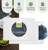 Graines de cumin noir- Graines d'herbes aromatiques issues Voir les images du produit 4