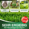 DÜNGEMEISTER Rasendünger für Ihren sattgrünsten Traumrasen Produktbild-Vorschau 6