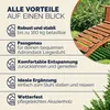 Casaria Poggiapiedi per Sdraio Adirondack Sostegno Gambe 7 Anteprima dell’immagine prodotto 6