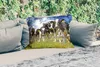 MuchoWow® Outdoor Kissen - Kühe - Gras - Wiese - Tiere - Produktbild-Vorschau 2