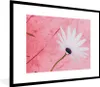 MuchoWow® Gerahmtes Poster Blumen - Rosa - Vintage 80x60 cm Produktbild-Vorschau 1