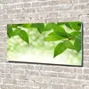 Tulup Glas-Bild -140x70- Wandkunst Dekorative Wand für Produktbild-Vorschau 2