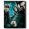Oh Art! Malen nach Zahlen – Harry Potter und Freunde 40x50 Produktbild-Vorschau 1
