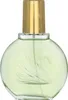 A bottle of Gloria Vanderbilt Jardin a New York Eau de Parfum for women. Voir les images du produit