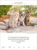 Literaturkalender Katzen 2027 Produktbild-Vorschau 16