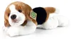 Plüsch Beagle 30 cm umweltfreundlich Produktbild-Vorschau 6