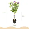 GreenboutiQ - Gartenpflanze - Hibiscus syriacus Lavendor Produktbild-Vorschau 3