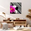 Bild auf Leinwand - Leinwandbild - Stein Blume Produktbild-Vorschau 7