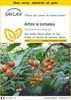 SAFLAX Ensemble de culture - Arbre à tomates - 50 graines - Voir les images du produit 1