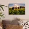MuchoWow® - Leinwandbilder - Kühe - Sonne - Gras - Tiere - Produktbild-Vorschau 2