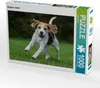 CALVENDO Puzzle Beagle in Action | 1000 Teile Lege-Größe Produktbild-Vorschau 1