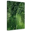 Leinwandbild Pfad durch grünen Wald 60x90 Feeby Grün bild Produktbild-Vorschau 1