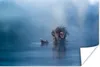 MuchoWow® Poster Affe - Japanisch - Wasser - Tiere - Natur Produktbild-Vorschau 2