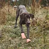 Non-stop dogwear PROTECTOR Light Socks 4er | 13212, Größe:M Produktbild-Vorschau 5