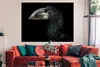 MuchoWow® Poster Vogel - Porträt - Hornvogel - Schwarz - Produktbild-Vorschau 2