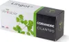 Véritable 3760262511030, Essbare Pflanze, Koriander, Produktbild-Vorschau 1