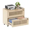 A light wood filing cabinet with two drawers, one open, displaying files. A printer, a plant, and some books are on top. Náhľad obrázku produktu