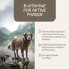 Provicell B-Vital Hund | Vitamin-B-Komplex mit Biotin, Produktbild-Vorschau 2